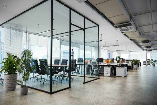 white color theme modern style office with exposed concrete floor and a lot of plant, 3d rendering white color theme modern style office with exposed concrete floor and a lot of plant, 3d rendering interior office stock pictures, royalty-free photos & images