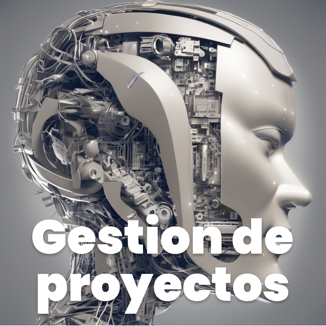 Práctica 2