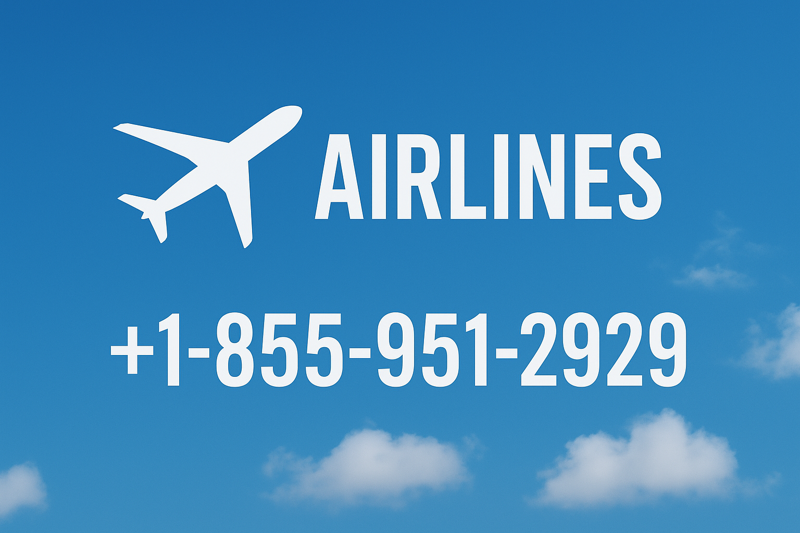 Full List Of Klm Airlines® CUSTOMER® SERVICE ® Usa Area Contact Numbers : A Step By Step Detailed Guide