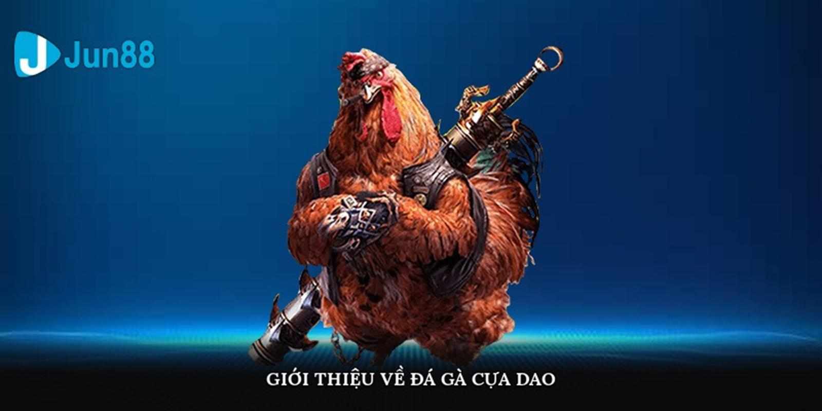 Hướng Dẫn Chọn Gà Đá Gà Cựa Dao Chuẩn Nhất