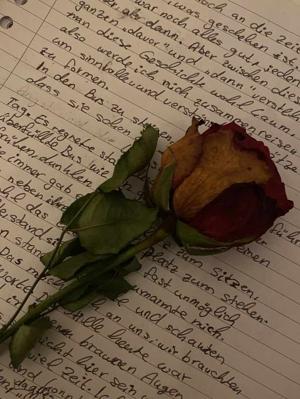 βπ₯πππ±π’π― 3