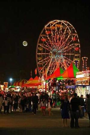 ℭ𝔥𝔞𝔭𝔱𝔢𝔯:- 31