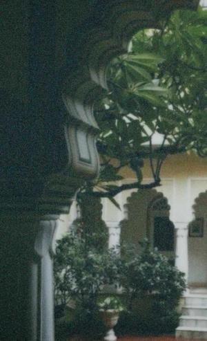 ℭ𝔥𝔞𝔭𝔱𝔢𝔯:- 40🔞