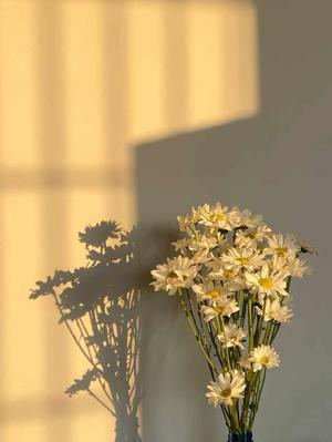 Kainaat Sahaani logo