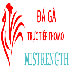 Đá Gà Trực Tiếp Thomo