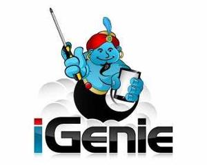 iGenie Repair