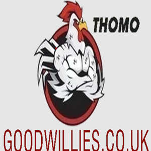 goodwilliescouk