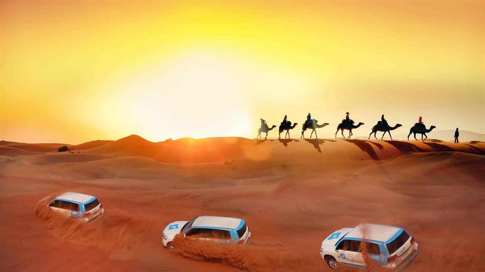 Evening Desert Safari VIP PLATINUM with Dune Bashing, Camel Ride, 5-Star Dinner & Live Shows
