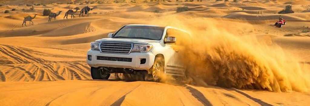 Morning Desert Safari By Forever Tourism