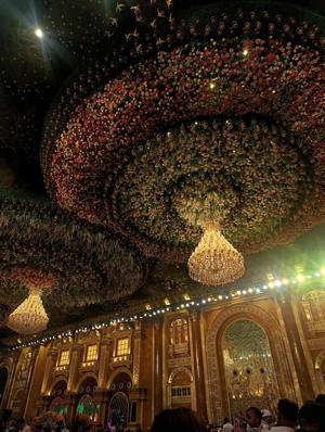 सजी संवरी बंदरिया!🐒😂