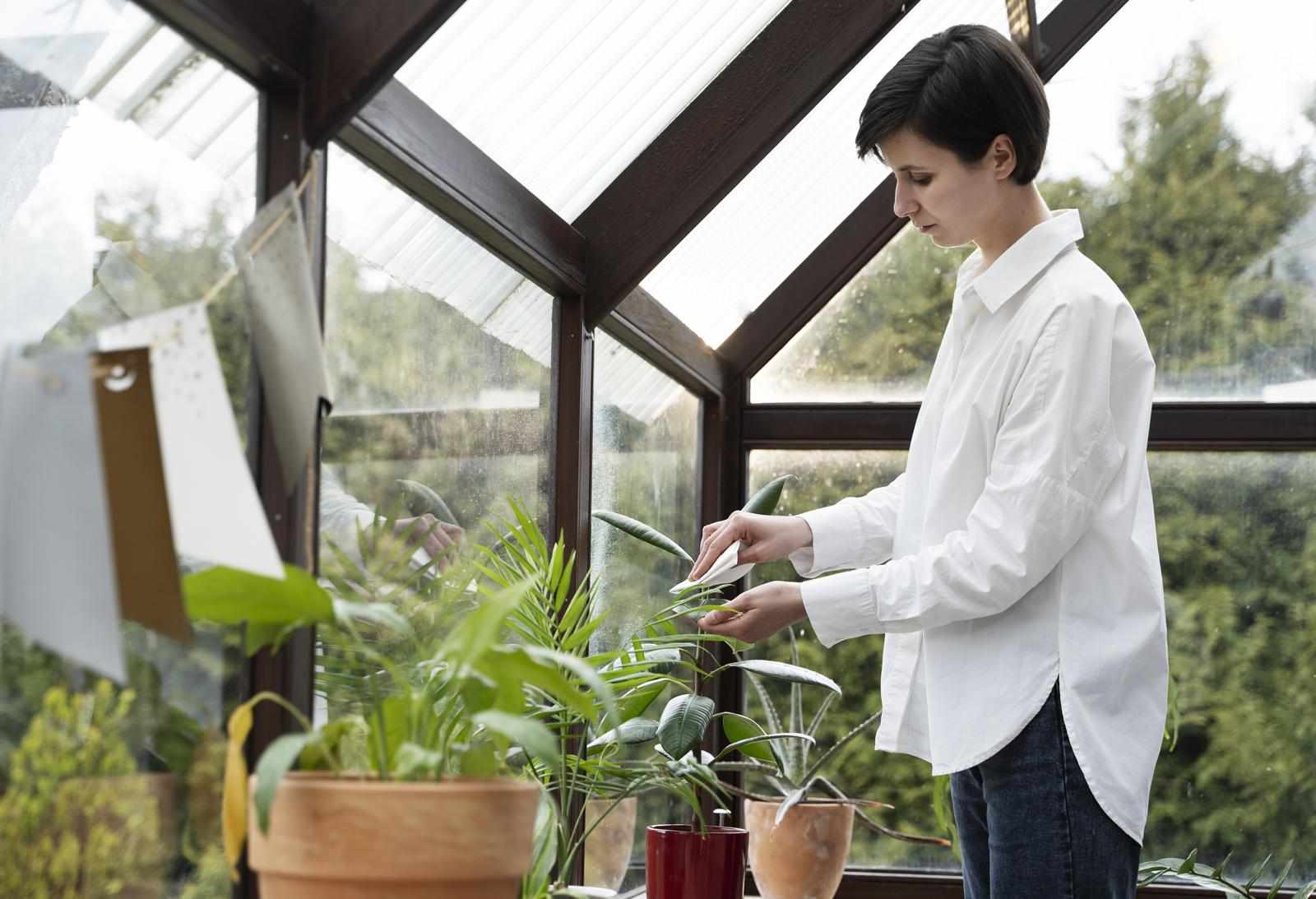 Conservatory Roof Replacement Cambridge: Transform Your Space with Rosy Roof Conservatories