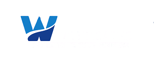 website design agency in Delhi
