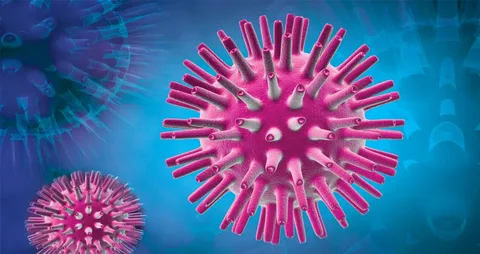 Varicella Zoster HHV-3 Infections Market Size, Trends, and Growth Strategies