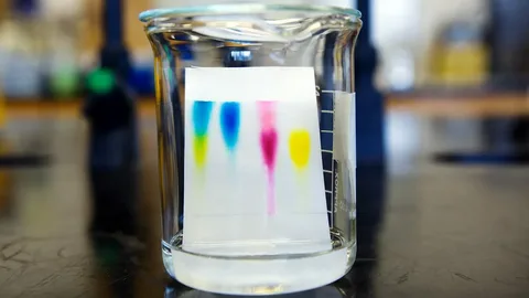 Vector Purification Market: Size, Trends, and Growth Forecast to 2032