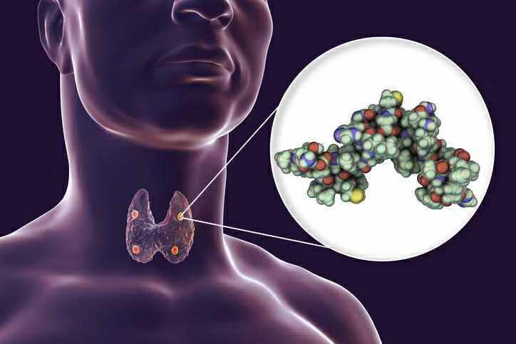 Hypoparathyroidism Market Size, Trends, Analysis, and Growth Forecast 2025-2032