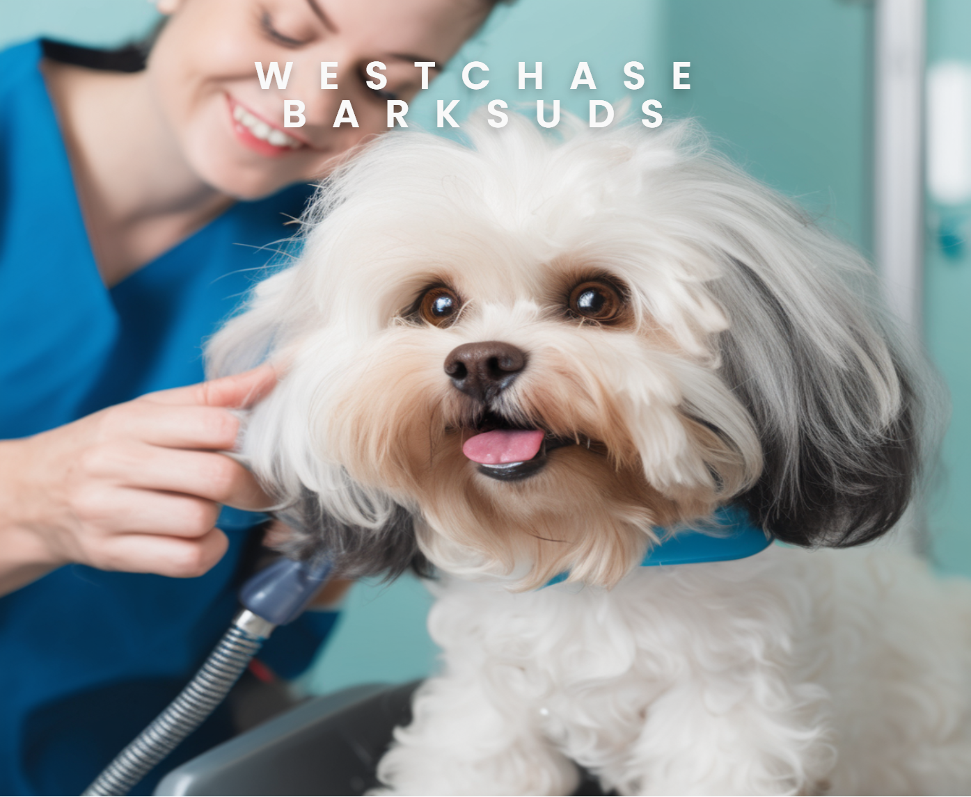 Convenient Mobile Pet Grooming Services in Westchase
