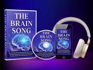 The Wealth Signal Mp3 Audio Reviews: Why You Should be Careful!