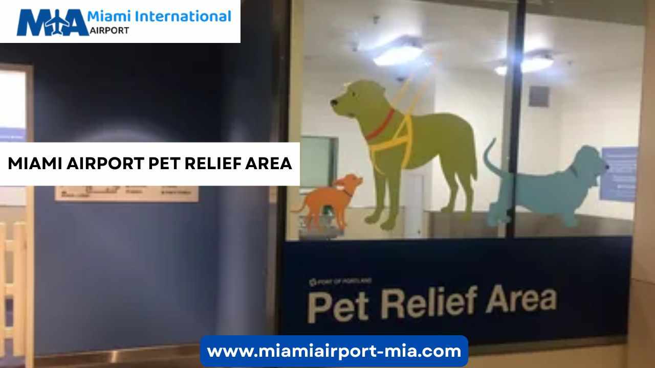 Miami Airport Pet Relief Area: Policy, Location, Travel Tips, and More