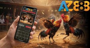 Đá Gà AZ888 – Đặt Cược Đá Gà Trực Tuyến Tại Tất Cả Các Trường Gà
