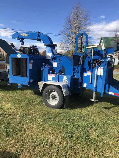 Why Is Tree Removal So Expensive in Colchester, VT?