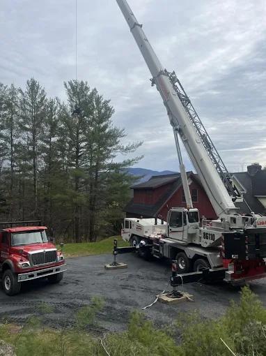 What Happens to Wood Chips and Firewood After a Residential Tree Removal in Morristown, VT?