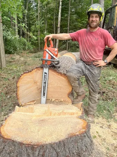 Before and After: What a Free On-Site Tree Assessment Actually Covers in Duxbury, VT?