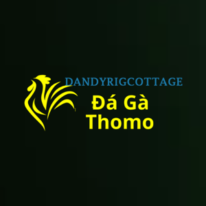 Đá Gà Trực Tiếp Thomo