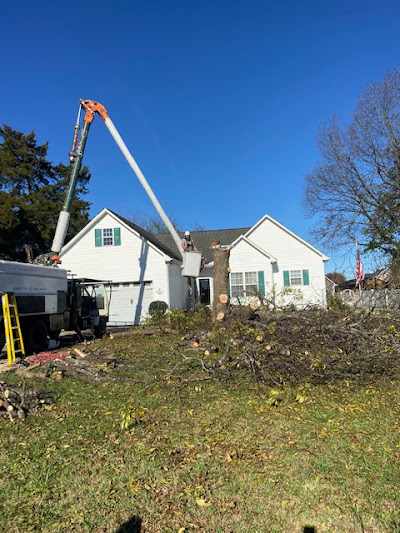 How to Grind a Stump with a Stump Grinder in Charlotte, NC?