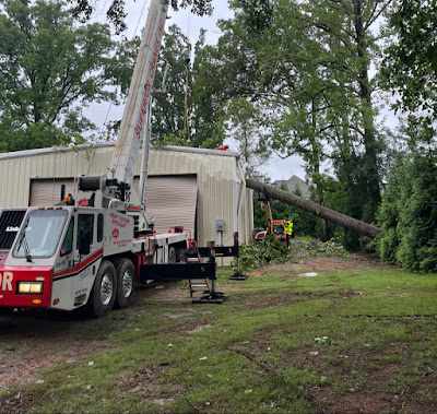 What is the Cheapest Time of Year for Tree Removal in Kannapolis, NC?