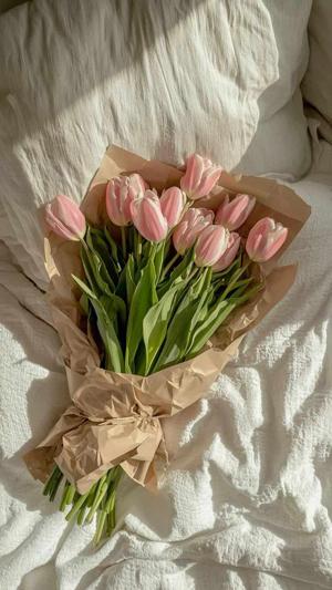 Harshita prakash  logo