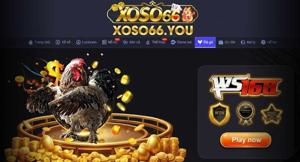 Đá Gà XOSO66 – Cá Cược Đá Gà Đỉnh Cao Với Sảnh SV388 và ICF