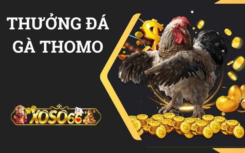 Khuyến Mãi Thưởng 1500K Đá Gà Thomo Khi Nạp Lần Đầu Tại XOSO66