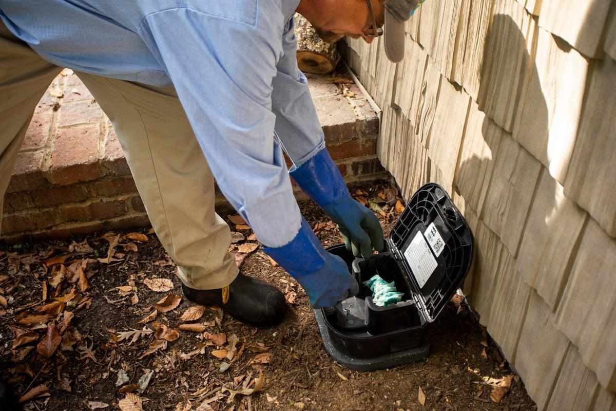 How Do Rodent Bait Stations Work? Are They Safe?