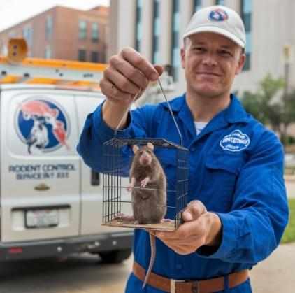 Rodent Control San Antonio: Protecting Your Home from Pests - Breaking AC