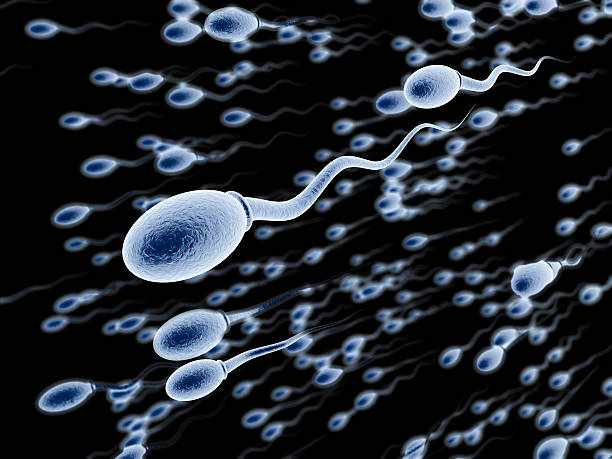 Understanding Sperm Donation- The Hope for Many Families