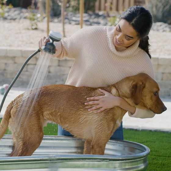 Understanding Modern Dog Washing Solutions in Riverview