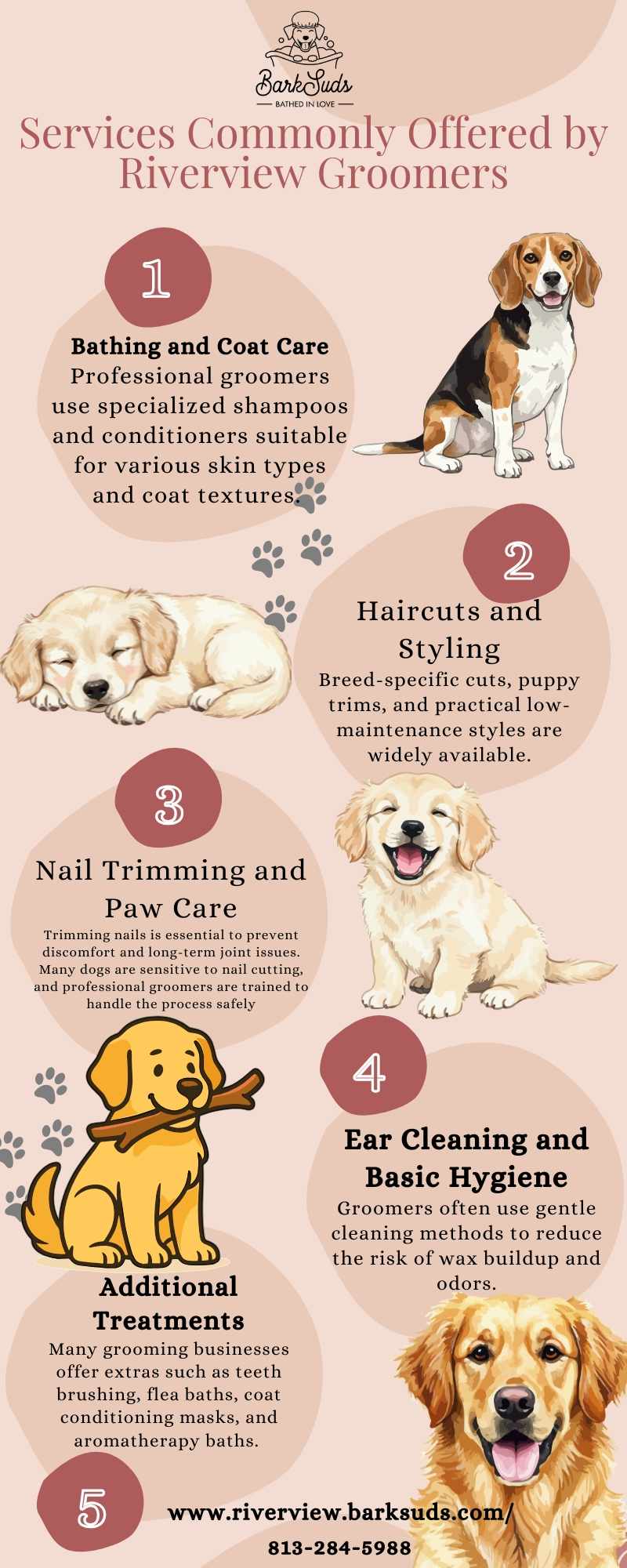 Local Dog Groomers Riverview Pet Care Guide