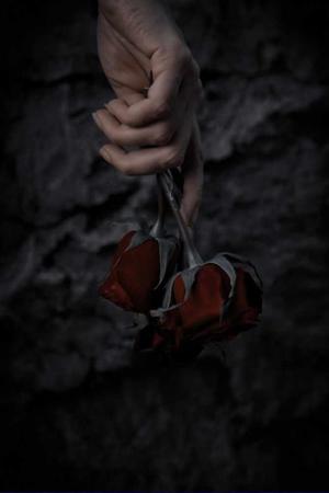 🥀Chapter 2: The Rules of the Cage 🥀