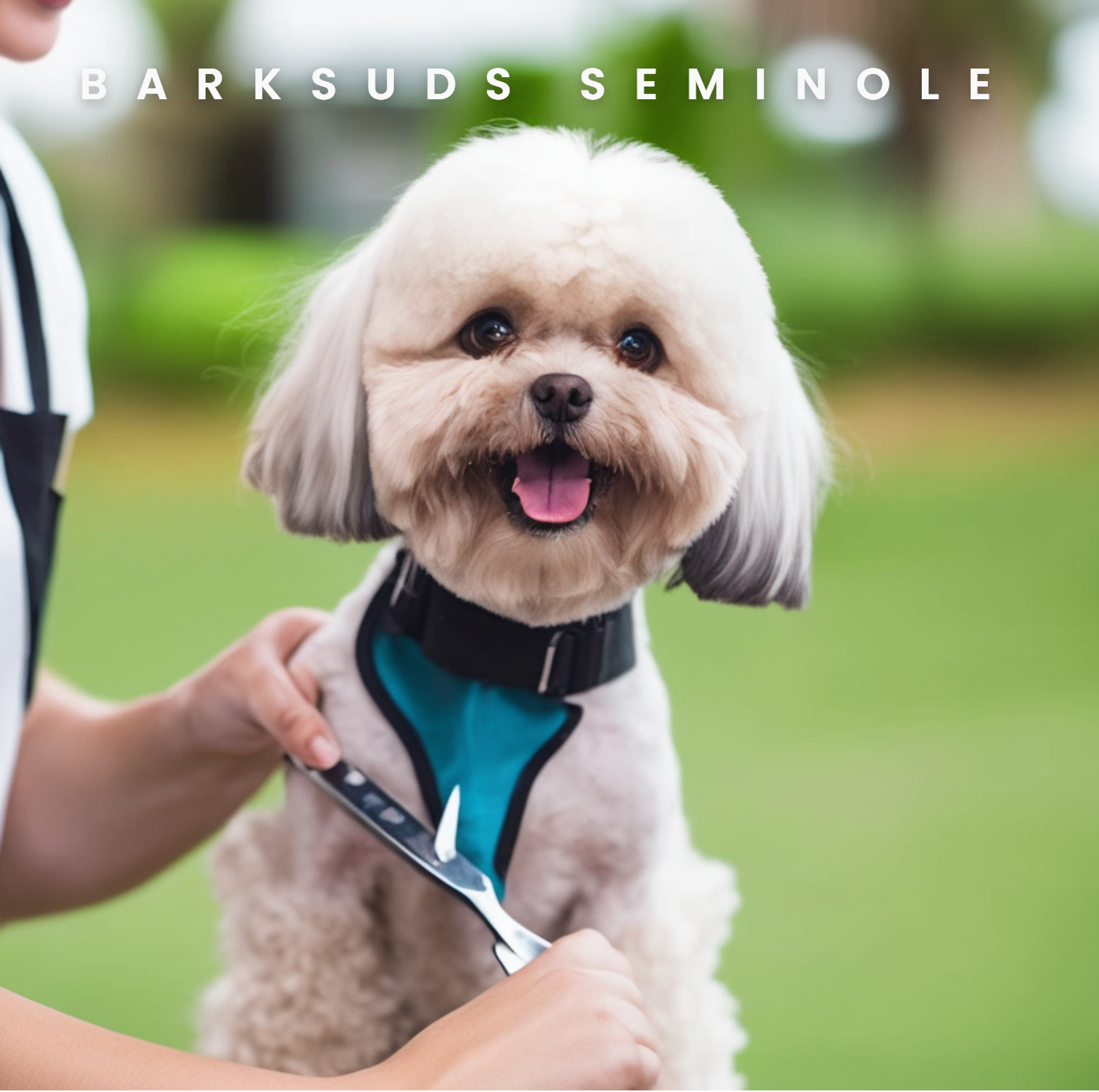 Groom Your Pet with Expert Care in Seminole