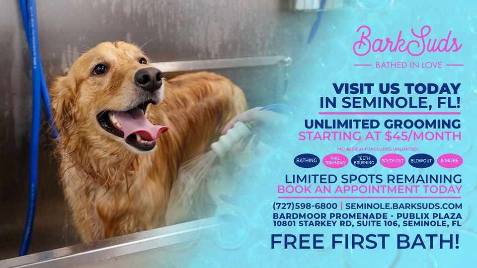 How Grooming Improves a Dog’s Life