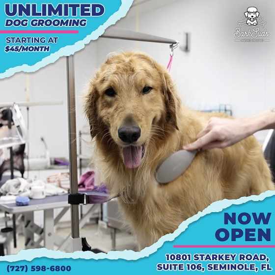Expert Dog Grooming Care in Seminole Area