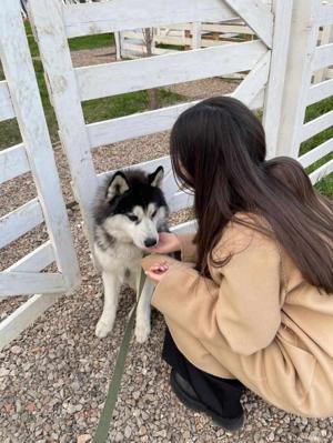 "JAIN MEET DUA AND DARSH "