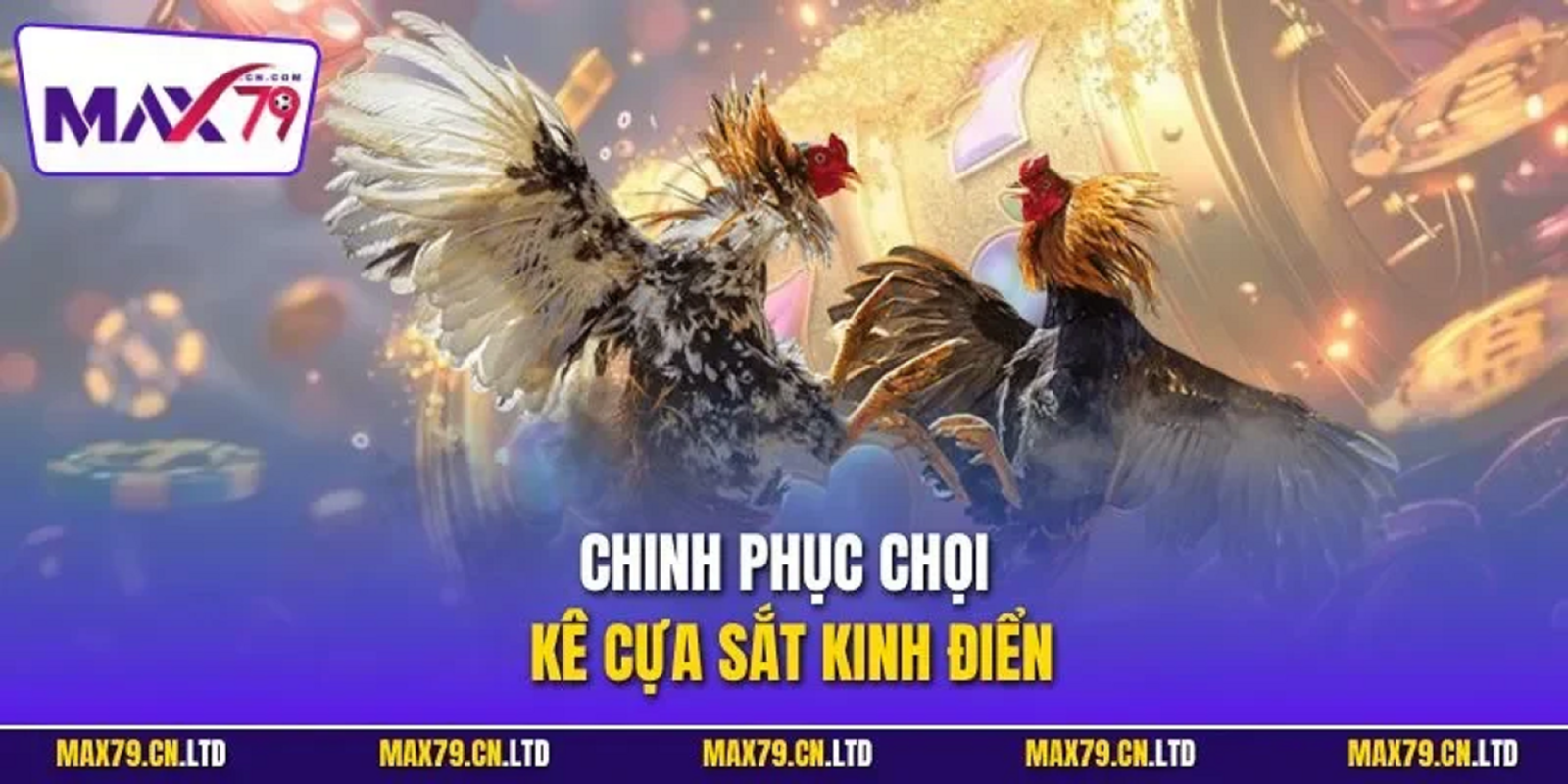 Hướng dẫn cách tham gia đá gà max79 dành cho người mới