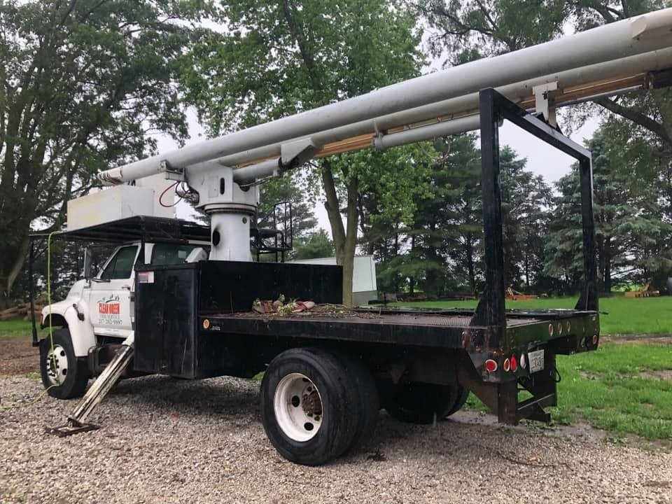 What is the Cheapest Time of Year for Tree Removal in Champaign, IL?