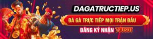 Đá gà trực tiếp