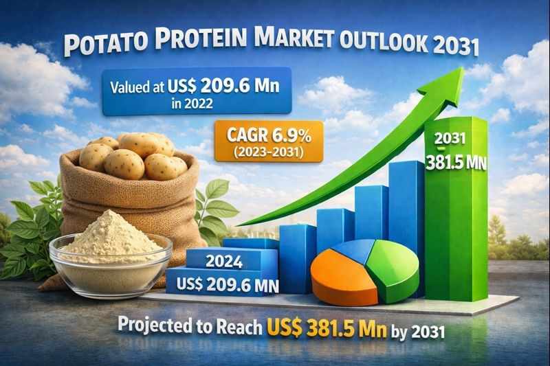 Potato Protein: A Key Ingredient Supporting the Future of Plant-Based Foods