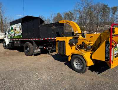 What Is the Cheapest Time of Year for Tree Removal in Lake Ridge, VA?