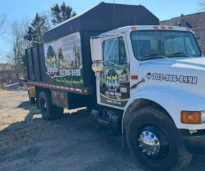 Why is Tree Removal So Expensive in Woodbridge, VA?