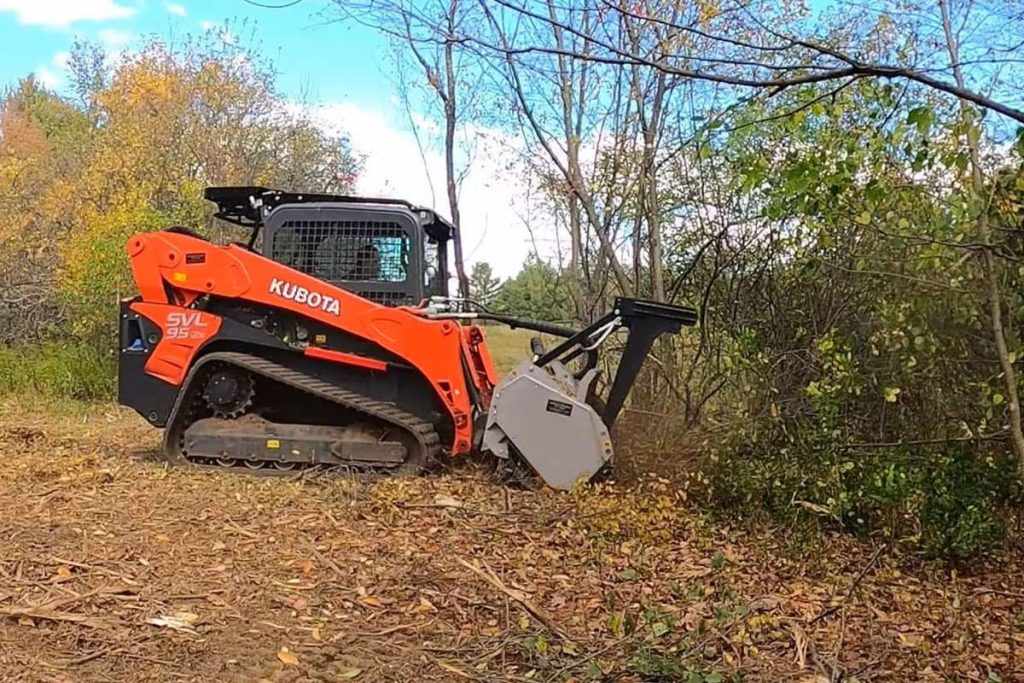 What is the Cheapest Time of Year for Tree Removal in Pittsburgh, PA?