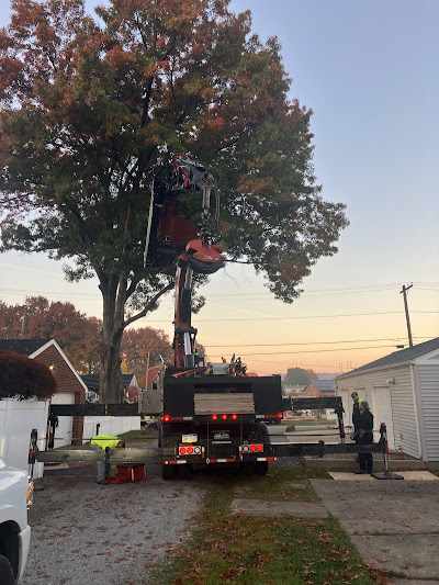 Who Is Responsible for Removing a Tree That Falls on Your Property in Cranberry Township, PA?